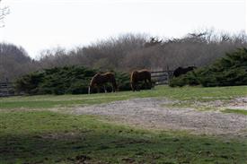 LR-WRF 0402026 Retreat-3048